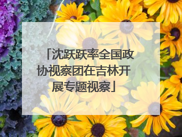 沈跃跃率全国政协视察团在吉林开展专题视察
