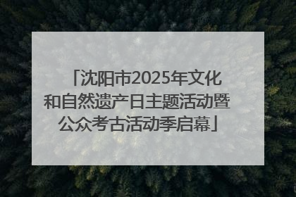 沈阳市2025年文化和自然遗产日主题活动暨公众考古活动季启幕