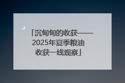 沉甸甸的收获——2025年夏季粮油收获一线观察