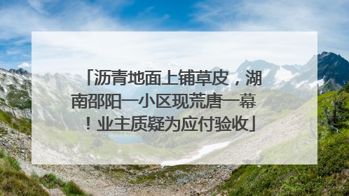 沥青地面上铺草皮，湖南邵阳一小区现荒唐一幕！业主质疑为应付验收