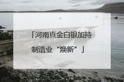 河南真金白银加持制造业“焕新”