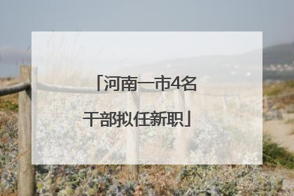 河南一市4名干部拟任新职