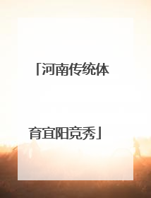 河南传统体育宜阳竞秀