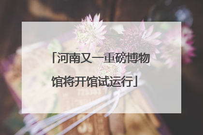 河南又一重磅博物馆将开馆试运行