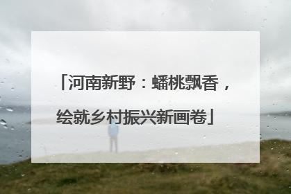 河南新野：蟠桃飘香，绘就乡村振兴新画卷