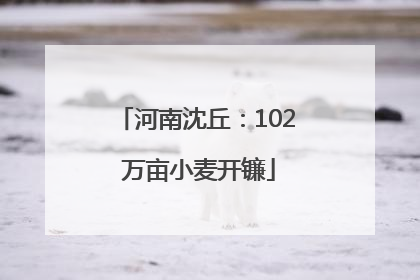 河南沈丘：102 万亩小麦开镰
