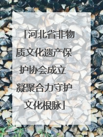 河北省非物质文化遗产保护协会成立 凝聚合力守护文化根脉