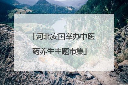 河北安国举办中医药养生主题市集