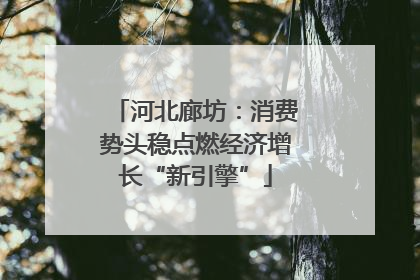 河北廊坊：消费势头稳点燃经济增长“新引擎”