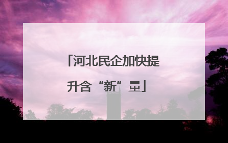 河北民企加快提升含“新”量