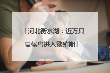 河北衡水湖：近万只夏候鸟进入繁殖期