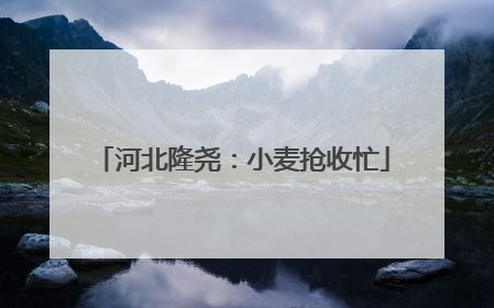 河北隆尧：小麦抢收忙