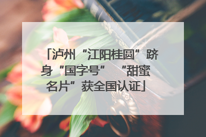 泸州“江阳桂圆”跻身“国字号” “甜蜜名片”获全国认证