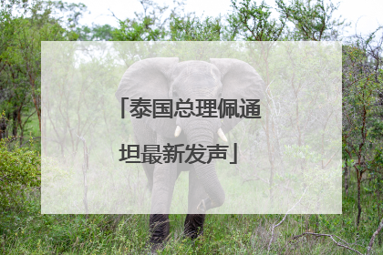 泰国总理佩通坦最新发声