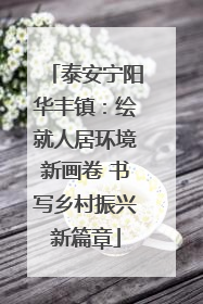 泰安宁阳华丰镇：绘就人居环境新画卷 书写乡村振兴新篇章