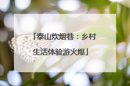 泰山炊烟巷：乡村生活体验游火爆