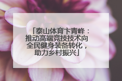 泰山体育卞青峰：推动高端竞技技术向全民健身装备转化，助力乡村振兴