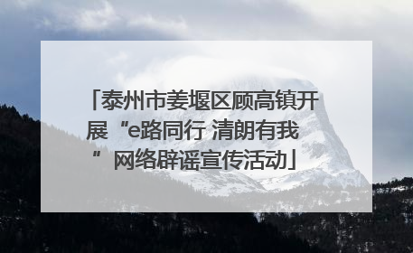 泰州市姜堰区顾高镇开展“e路同行 清朗有我”网络辟谣宣传活动