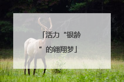活力“银龄”的翱翔梦