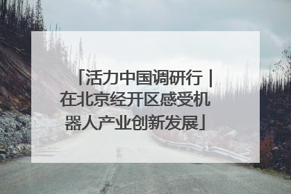 活力中国调研行｜在北京经开区感受机器人产业创新发展