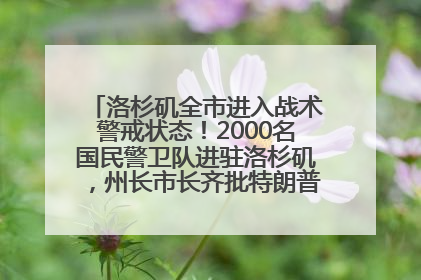 洛杉矶全市进入战术警戒状态！2000名国民警卫队进驻洛杉矶，州长市长齐批特朗普“制造混乱”