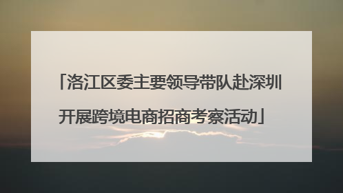 洛江区委主要领导带队赴深圳开展跨境电商招商考察活动