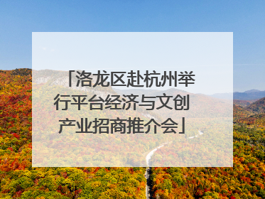 洛龙区赴杭州举行平台经济与文创产业招商推介会