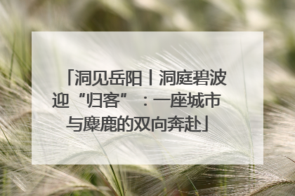 洞见岳阳丨洞庭碧波迎“归客”：一座城市与麋鹿的双向奔赴