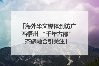 海外华文媒体到访广西梧州 “千年古郡”茶旅融合引关注