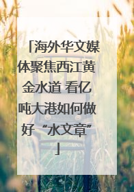 海外华文媒体聚焦西江黄金水道 看亿吨大港如何做好“水文章”