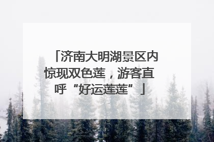 济南大明湖景区内惊现双色莲，游客直呼“好运莲莲”