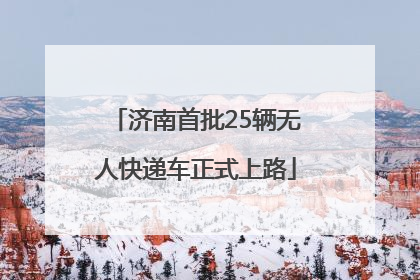 济南首批25辆无人快递车正式上路