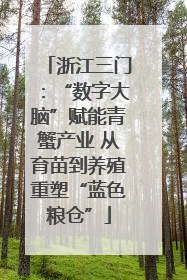 浙江三门：“数字大脑”赋能青蟹产业 从育苗到养殖重塑“蓝色粮仓”
