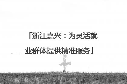 浙江嘉兴：为灵活就业群体提供精准服务