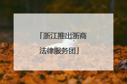 浙江推出浙商法律服务团