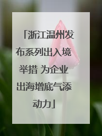 浙江温州发布系列出入境举措 为企业出海增底气添动力