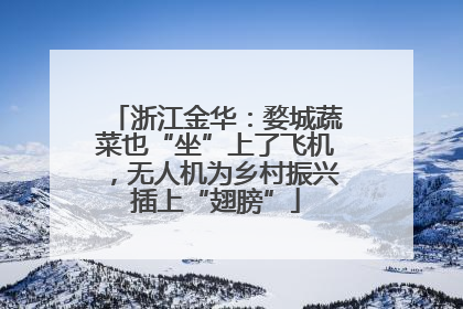 浙江金华：婺城蔬菜也“坐”上了飞机，无人机为乡村振兴插上“翅膀”