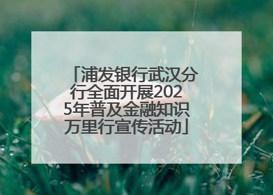 浦发银行武汉分行全面开展2025年普及金融知识万里行宣传活动