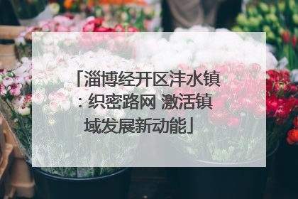 淄博经开区沣水镇：织密路网 激活镇域发展新动能