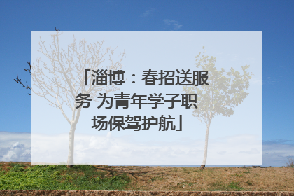 淄博：春招送服务 为青年学子职场保驾护航