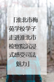 淮北市梅苑学校学子走进淮北市检察院沉浸式感受司法魅力