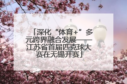 深化“体育+”多元跨界融合发展——江苏省首届匹克球大赛在无锡开赛
