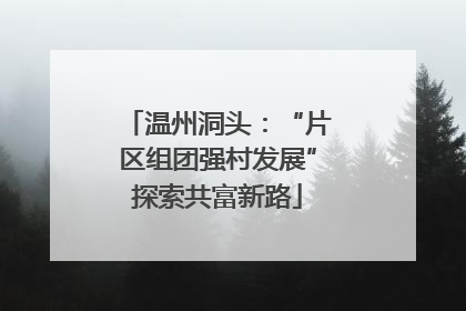 温州洞头：“片区组团强村发展”探索共富新路