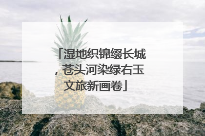 湿地织锦缀长城，苍头河染绿右玉文旅新画卷