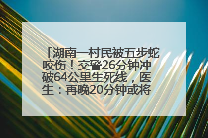 湖南一村民被五步蛇咬伤！交警26分钟冲破64公里生死线，医生：再晚20分钟或将呼吸肌麻痹