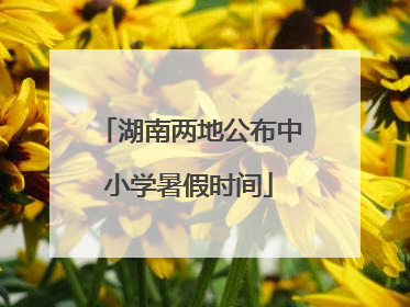 湖南两地公布中小学暑假时间