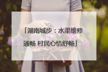 湖南城步：水渠维修通畅 村民心情舒畅