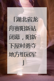 湖北省龙舟赛阳新站闭幕，阳新下屋村勇夺地方组冠军