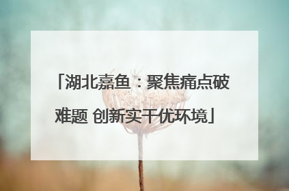 湖北嘉鱼：聚焦痛点破难题 创新实干优环境
