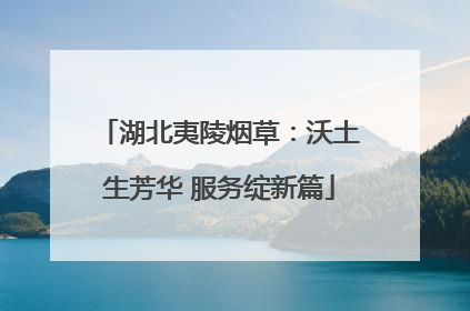 湖北夷陵烟草：沃土生芳华 服务绽新篇